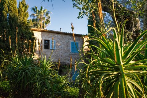 Die wunderschöne Finca im Frühling
