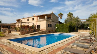 Am Pool unter Palmen entspannen