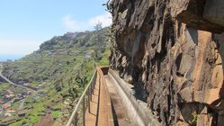 Portugal Madeira Hotel Alpino Atlantico Levada durch die Weinberge Bei einer Levada-Wanderung die Weinberge Madeiras erkunden