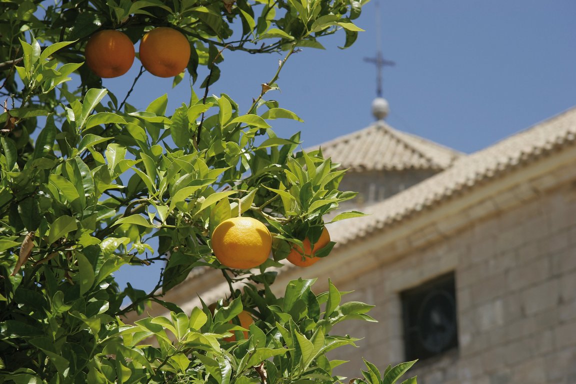 Andalusien Ausflugstipps & Festivals im November