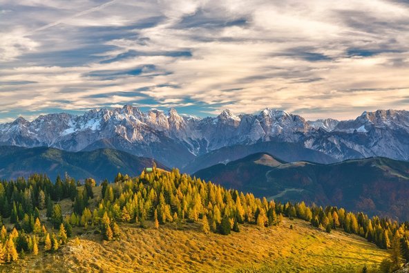 Ein herbstliches Waldstück in den Alpen bei tiefhängenden Wolken