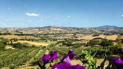 yoga-reisen-italien-marken-villa-garulli-montelupone-ausblick Der Blick bis nach Montelupone wirkt einfach inspirierend!