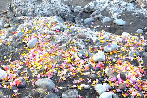 Ein Meer aus Blüten