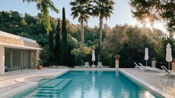 Der Pool unter Palmen