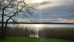 yoga-urlaub-deutschland-hotel-park-am-see-tollensesee Direkt vor dem Hotel Park am See liegt der Tollensesee