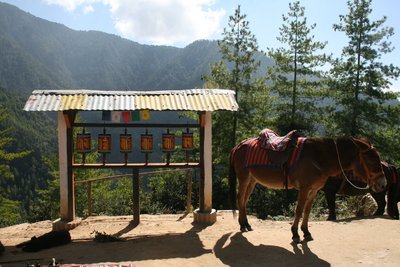 Auf Wanderungen werden Sie häufig an Gebetsmühlen und -fahnen vorbei kommen