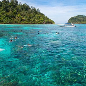 Ein Meer mit Booten und vielen Menschen die schnorcheln