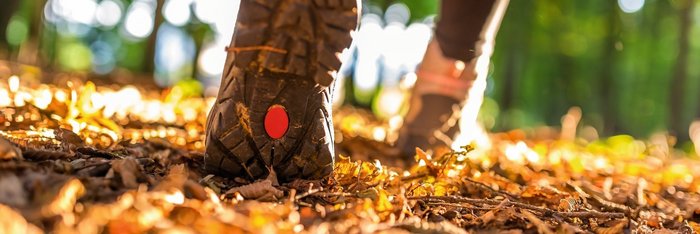 Wandern im Herbstlaub