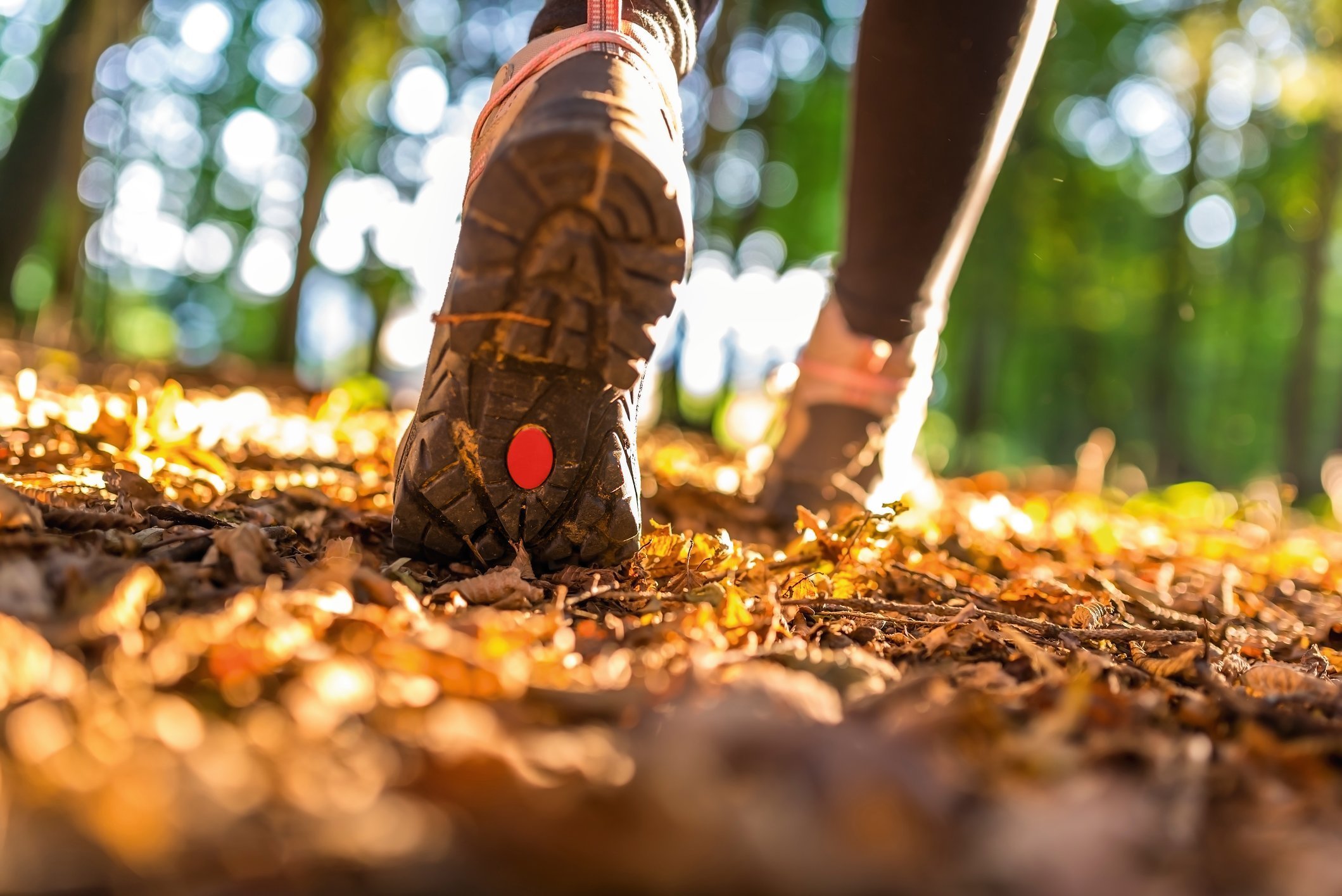 Wandern Wald _ iStock _ 27701487_© Gajus Wandern im Herbstlaub