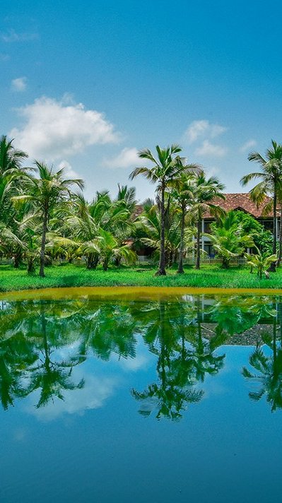 Das Meiveda Ayurveda Resort liegt eingebettet in einem tropischen Garten Das Meiveda Ayurveda Resort liegt eingebettet in einem tropischen Garten