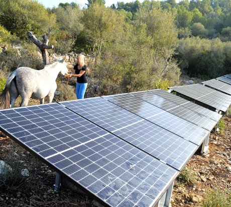 Solaranalge mit einem Pferd und einer Frau daneben