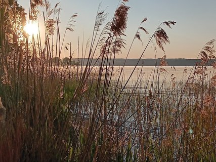 Genießen Sie den Sonnenaufgang am See