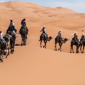 Menschen auf Kamelen in der Wüste Sahara