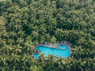 Der Pool mitten im grünen Palmengarten
