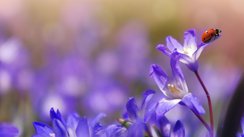 Erholen Sie sich auf unseren Reisen nachhaltig bei Yoga, Meditation, Ayurveda, Detox und vielem mehr...