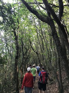 Eine Wanderung durch die Wälder Italiens