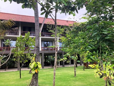 Der Garten voller ayurvedischer Heilpflanzen mit Blick auf die Zimmer