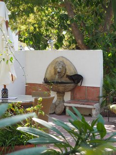 Wasserbrunnen mit Löwenkopf und einer Finca-Katze