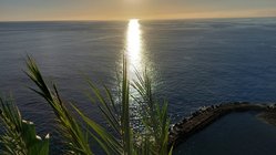 yoga-urlaub-portugal-madeira-hotel-estalagem-da-ponta-do-sol-horizont-ozean-sonne-pflanze Der Blick auf den Horizont