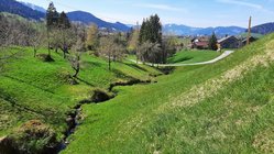 yoga-wandern-ifenblick Ein paar Höhenmeter tiefer ist der Frühling schon in vollem Gange.