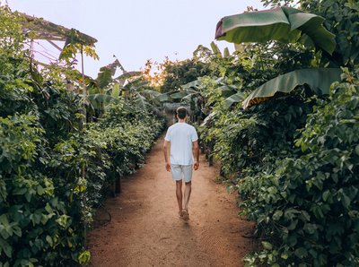 Ruhe und Erholung finden Sie im großen Garten des Resorts