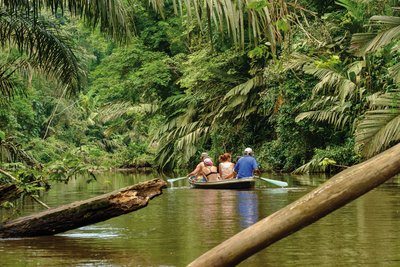 Bootsfahrt durch den Tortuguero Nationalpark