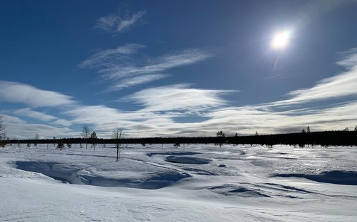 Ein Wintermärchen in Lappland