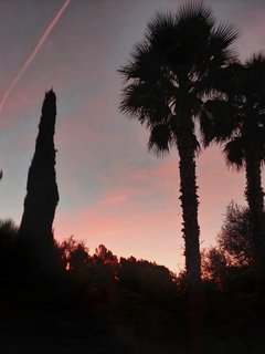 Yoga Urlaub auf der Finca