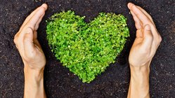 CSR_Grünes Herz_iStock_000033288692_XXXLarge_© weerapatkiatdumrong Ein grünes Herz für die Natur