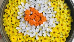 ayurveda-kur-indien-kerala-bethsaida-hermitage-anlage-blumen Leuchtende Blütenbäder im Bethsaida Hermitage