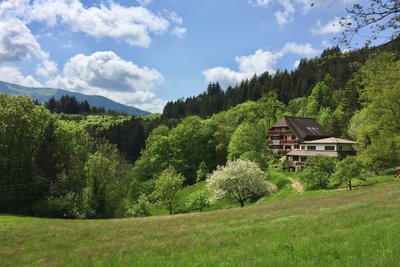 Das Steinweiden Retreat Center eingebettet zwischen Wiesen und Wäldern