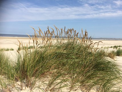 Einladende Strände, weites Meer und ruhige Yoga-Atmospähre auf Baltrum.