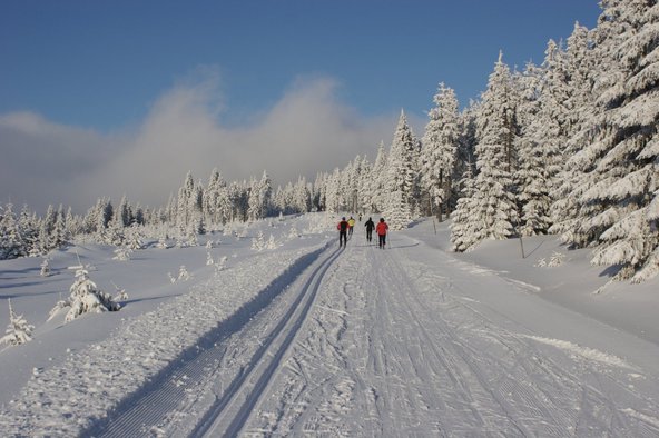 Schneebedeckter Landschaft