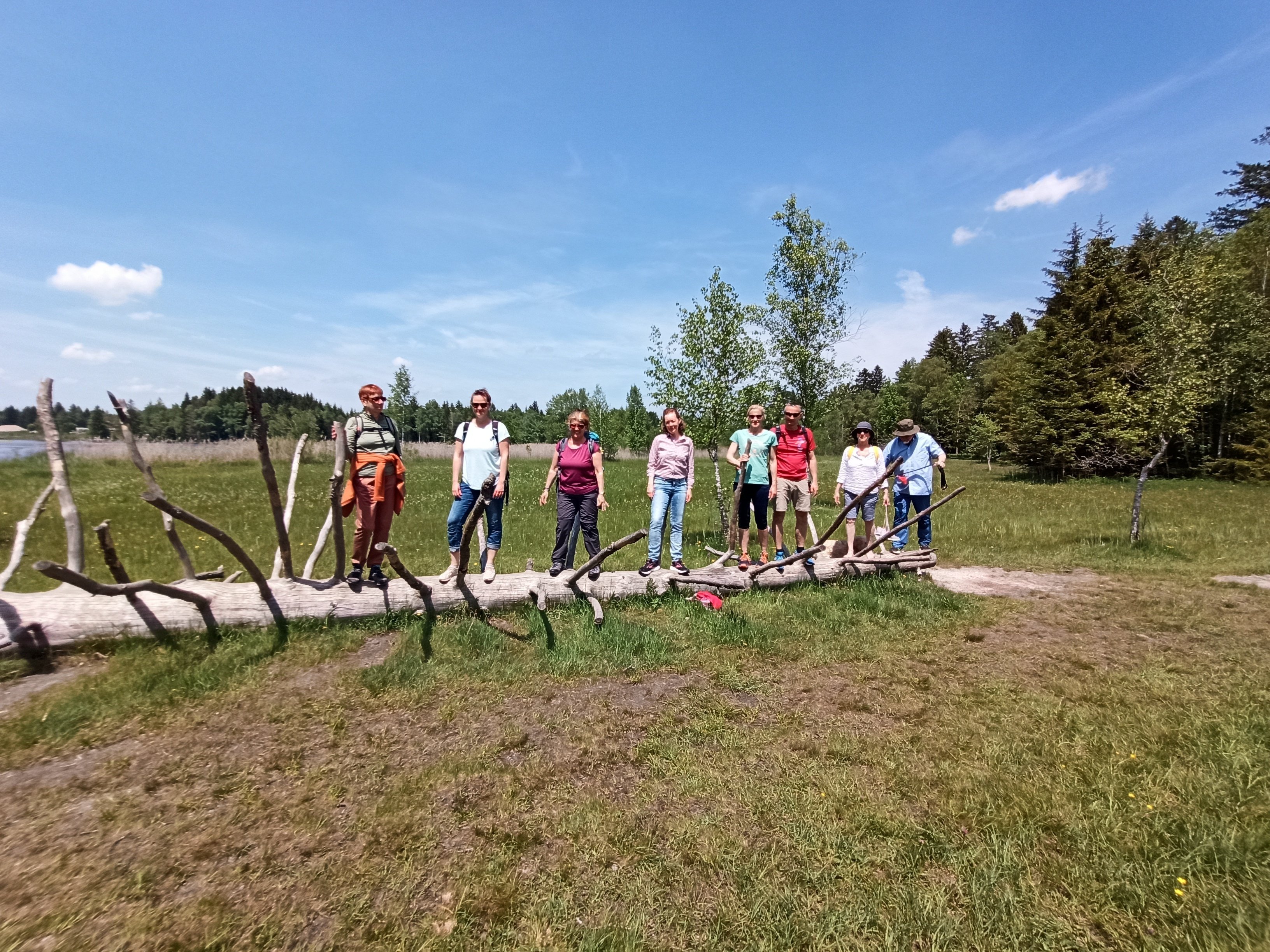 Die Yogis bei einer Wanderung