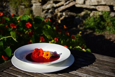 Die Schlossküche kocht frisch, auch mit Gemüse aus dem eigenen Garten