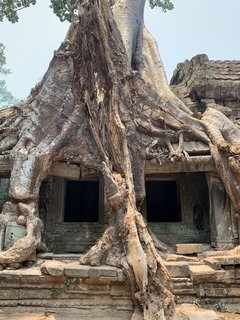 Spüren Sie die Magie des Angkor Wats in Kambodscha 