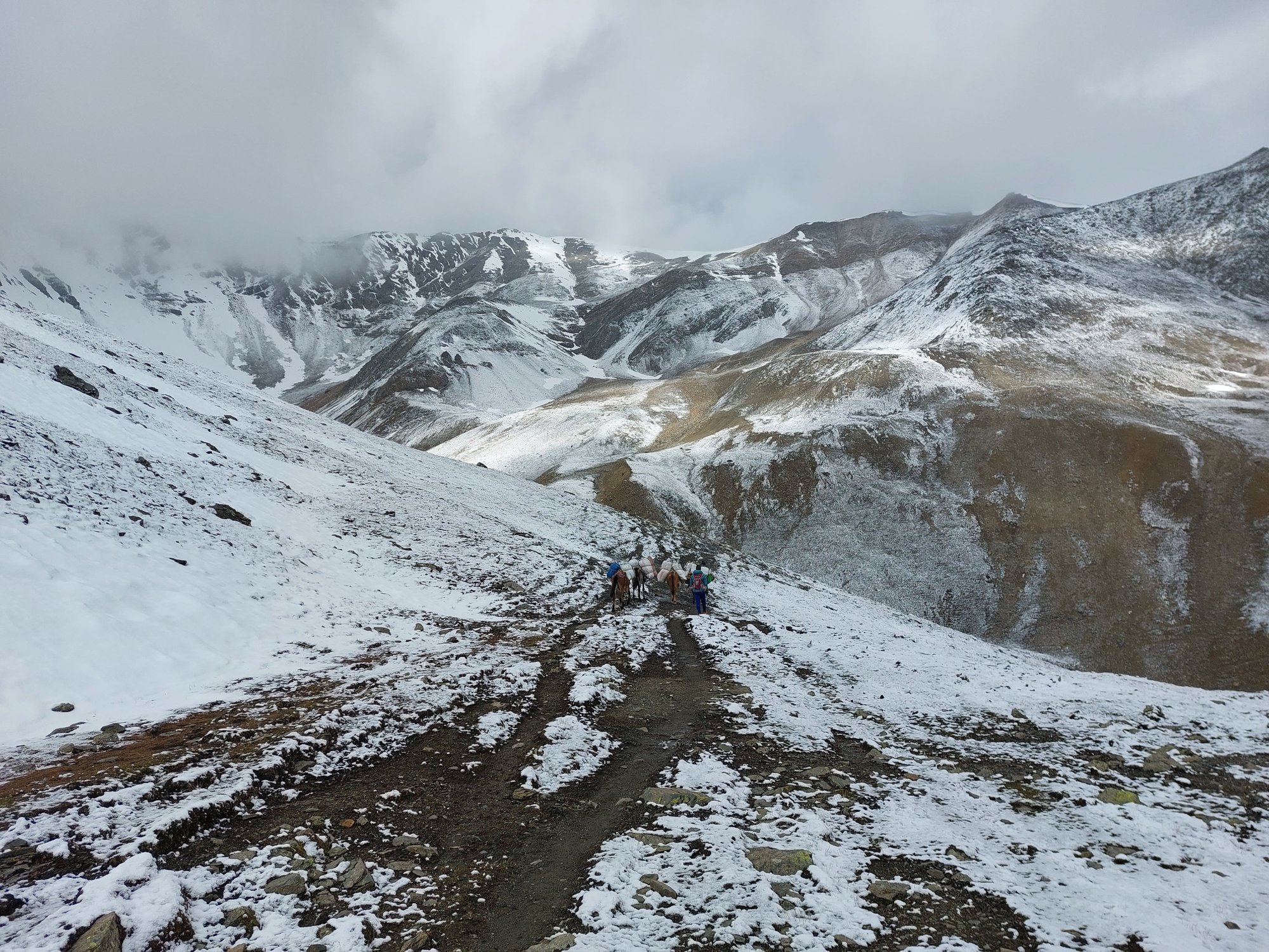 asien-reisen-nepal-dolpo-schnee-berge Weiße Gipfel in Nepal
