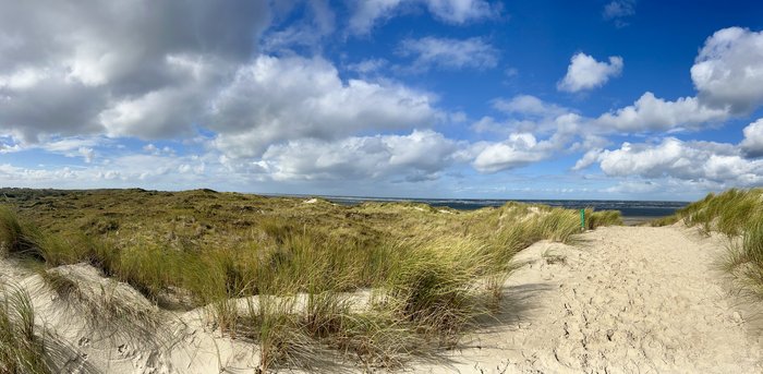 Dünen auf der Nordseeinsel Baltrum