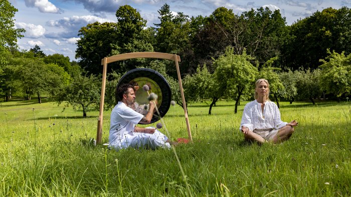 Gong auf der Wiese