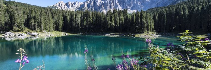 Großer See mit Blumen und Bergen im Hintergrund