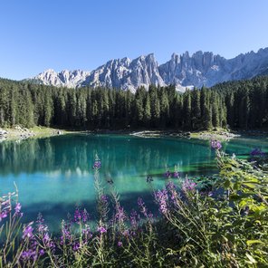 Großer See mit Blumen und Bergen im Hintergrund