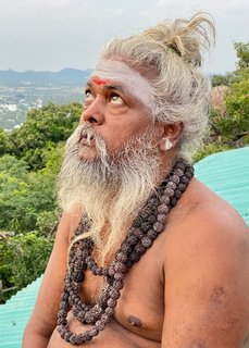 Tauchen Sie ein in die Südindische Kultur