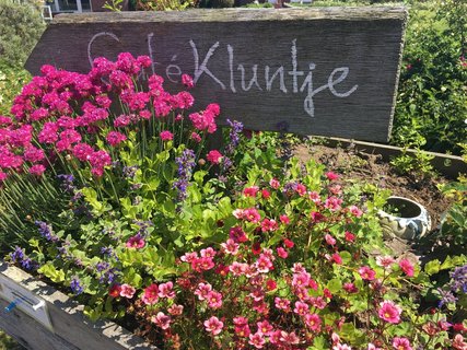 Im Cafe Kluntje kehrten die TeilnehmerInnen gerne für eine Tasse Ostfriesentee & ein Stück Kuchen am Nachmittag ein.