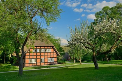 Im Frühling erblüht der Park am See