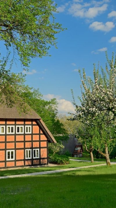 Titel: bFotograf: Im Frühling erblüht der Park am See
