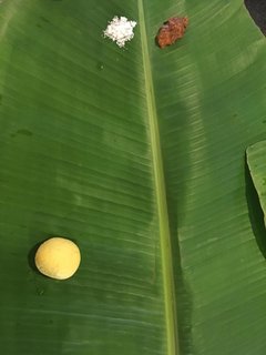 Typisches traditionelles Essen in Indien - serviert auf dem Bananenblatt