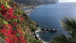 yoga-urlaub-portugal-madeira-hotel-estalagem-blumeninsel-blick-bucht Blick auf die Bucht der Blumeninsel Madeira.