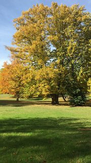 Der Park am See leuchtet in herbstlichen Farben