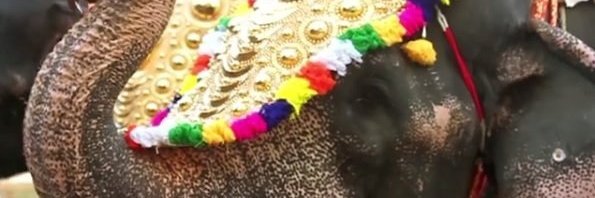Buntes Treiben beim Elefanten-Festival Thrissur Pooram in Indien