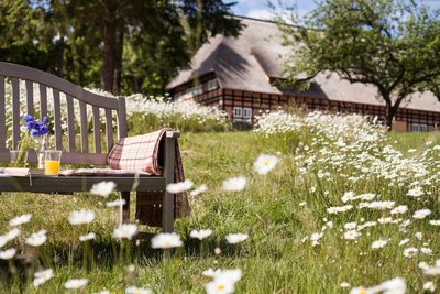 Genießen Sie die Ruhe der Natur im Hotel Park am See